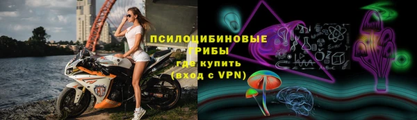гашик Гусиноозёрск