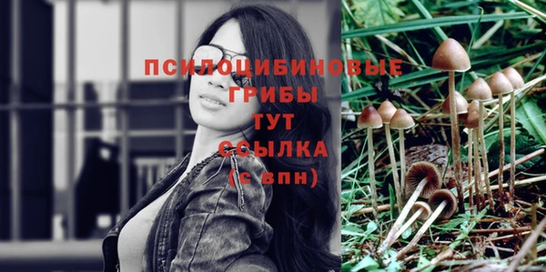 ешки Горнозаводск