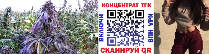 Дистиллят ТГК концентрат Купить где Ханты-Мансийск