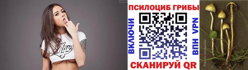 Псилоцибиновые грибы Magic Shrooms  Купить закладки  Ханты-Мансийск 